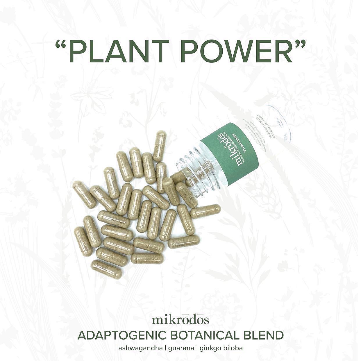 “Plant Power” - Botanical Blend