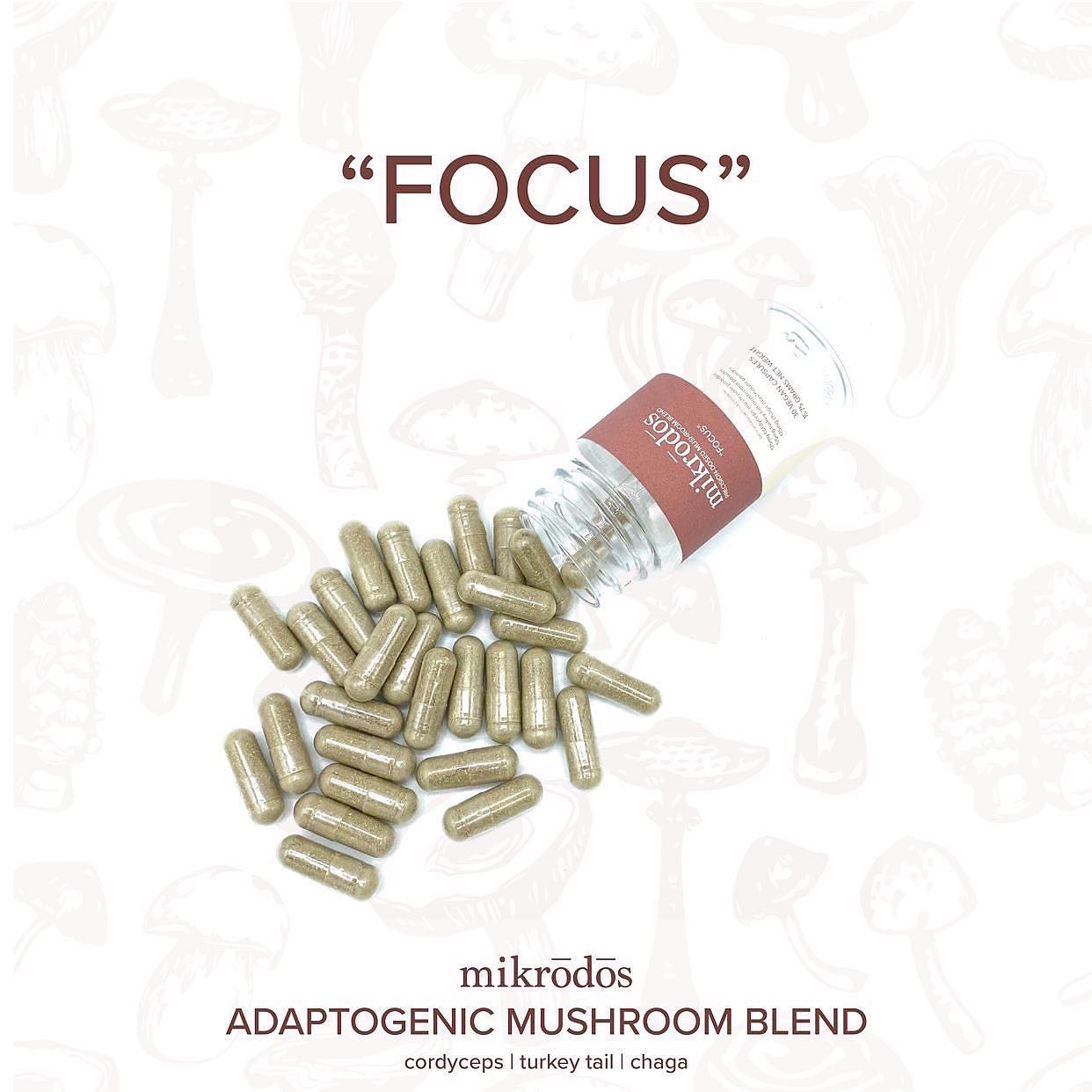 “Focus” - Mushroom Blend